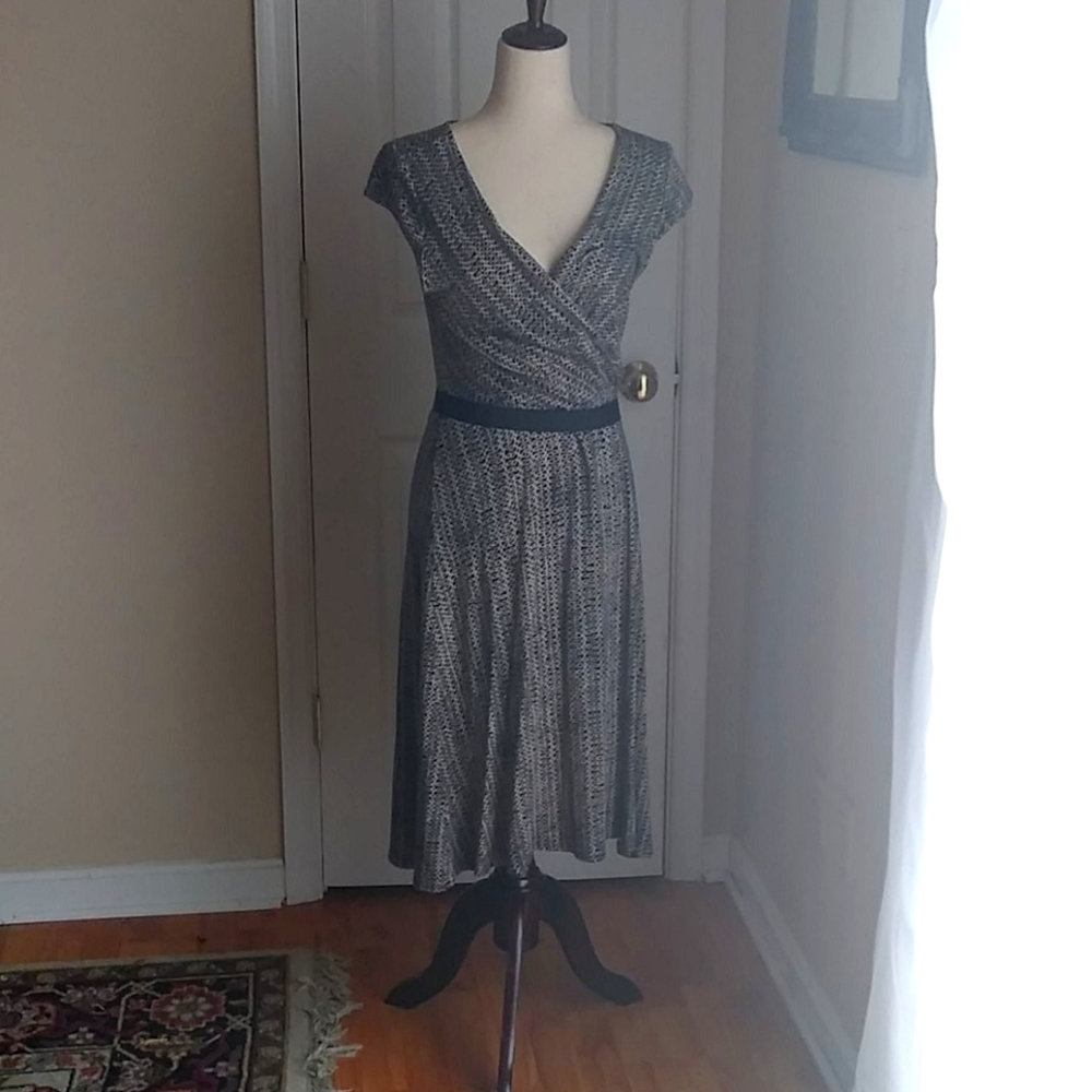 Ann Taylor Loft Dress